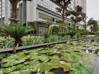 Dự án có khá nhiều không gian xanh. Ảnh: Thanh Huyền