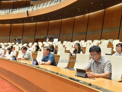 Các đại biểu Quốc hội thảo luận về việc tiếp tục miễn thuế sử dụng đất nông nghiệp sáng 25/5/2020