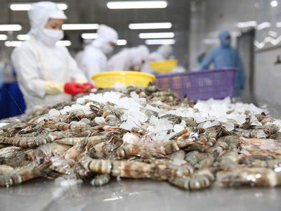 Các doanh nghiệp xuất khẩu Việt Nam gặp khó do nhu cầu thế giới sụt giảm.