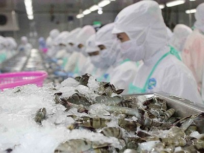 EVFTA dự kiến giúp xuất khẩu của Việt Nam sang EU tăng thêm khoảng 42,7% vào năm 2025 và 44,37% vào năm 2030 so với không có Hiệp định