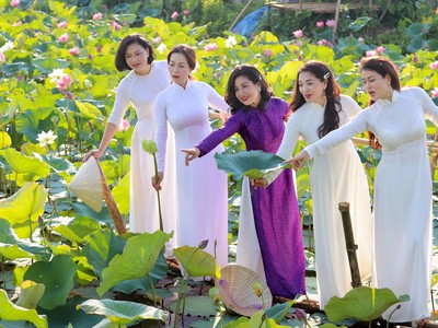 Những đầm sen rộng lớn tha hồ cho du khách tạo dáng.