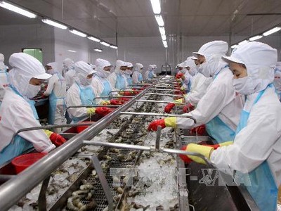 Tổn thất cho việc xuất khẩu hải sản từ Việt Nam sang EU khi bị thẻ vàng, tính trung bình có thể lên đến 10.000 Euro/container.