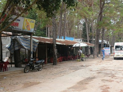 Người dân ở ổn định trên đất Lâm Nghiệp