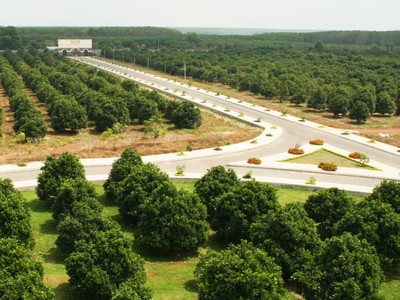 Nông trại Vinamit tại Bình Dương