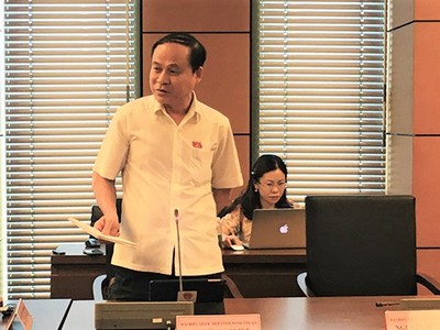 Đại biểu Nguyễn Bắc Việt (Ninh Thuận) phát biểu tại tổ - (Ảnh Mỹ An)