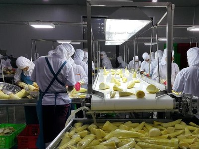 Nông thủy sản Việt Nam còn nhiều cơ hội khai thác thị trường Nhật Bản nhờ 2 FTA đã đi vào hiệu lực là CPTPP và VJFTA.