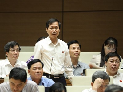 Đại biểu Bùi Văn Phương (Ninh Bình) phát biểu trong phiên thảo luận về dự thảo Luật sửa đổi, bổ sung một số điều của Luật Tổ chức Quốc hội.