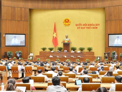 Ngoài các tiêu chuẩn theo quy định, đại biểu Quốc hội còn phải am hiểu các mặt đời sống kinh tế - xã hội, có khả năng phân tích, tổng hợp, tư duy phản biện.