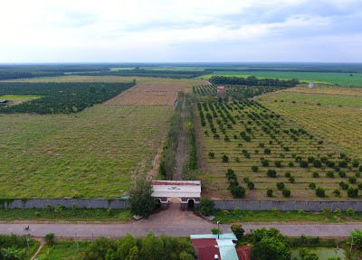 Nông trang Organic của Vinamit tại Phú Giáo, Bình Dương (ảnh doanh nông)