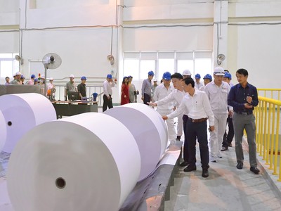 Các sản phẩm giấy An Hòa luôn được thị trường đánh giá cao