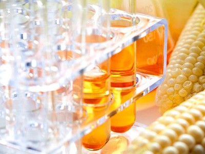 Đường lỏng chiết xuất từ tinh bột ngô nhập khẩu từTrung Quốc và Hàn Quốc vào Việt Nam làm tổn hại tời ngành sản xuất trong nước.