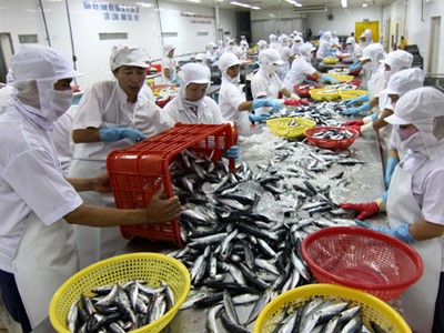 SCIC công bố kế hoạch bán đấu giá toàn bộ 132.200 cổ phần (8,96% vốn) đang sở hữu tại Công ty Cổ phần Xuất khẩu Thủy sản Khánh Hòa (UpCOM: KSE).