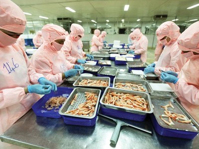 Sản xuất tại Công ty cổ phần Bá Hải (tỉnh Phú Yên). Ảnh: Đức Thanh