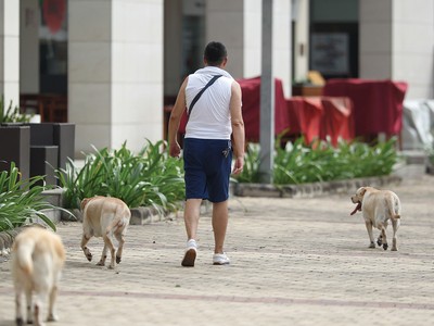 Chuyện thú cưng ở chung cư