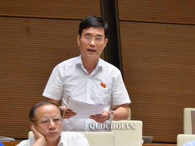 Ông Hoàng Quang Hàm phát biểu tại nghị trường.