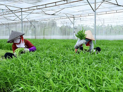 Bình Dương dừng thanh tra Vinamit