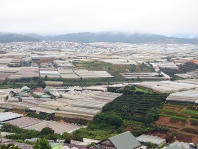 Lâm Đồng phát triển dựa trên định hướng công nghiệp chế biến nông, lâm, thủy sản, phân bón và sản xuất phân phối điện, khí đốt