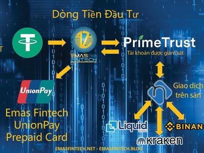 Bản giới thiệu về dòng tiền đầu tư của Emas Fintech.