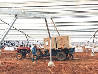 Có sự nở rộ đầu tư điện mặt trời tại các trang trại nông nghiệp ở Ninh Thuận, Bình Thuận, Đắk Nông... Ảnh: Thanh Hương