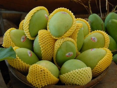 Không có kiểm dịch viên để kiểm tra hàng trước khi chiếu xạ nhiều lô hàng trái cây sang Mỹ bị tồn kho gây khó khăn cho doanh nghiệp xuất khẩu. 