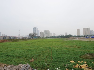 VCCI: 68% doanh nghiệp phải hoãn, hủy kế hoạch sản xuất kinh doanh vì vướng thủ tục đất đai