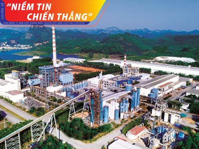 Giấy An Hòa không chỉ đầu tư công nghệ sản xuất hiện đại mà chú trọng tới việc phát triển vùng nguyên liệu giấy