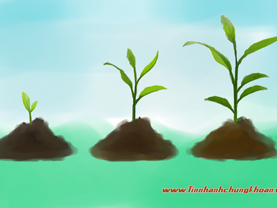 Chủ tịch ANV hứa hẹn cổ tức tăng