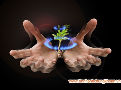 Ngành dầu khí: Tiêu cực nhưng không bi quan