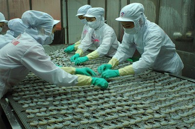 MPC dự kiến chia cổ tức 50% bằng tiền mặt