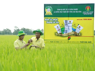 Lợi thế thị trường giúp Đạm Cà Mau hoàn thành vượt mức các chỉ tiêu tài chính 9 tháng