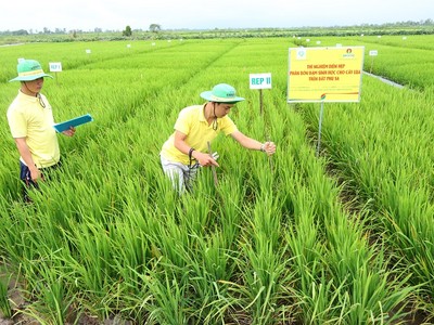 Đạm Cà Mau hoàn thành các chỉ tiêu sản xuất kinh doanh quý I