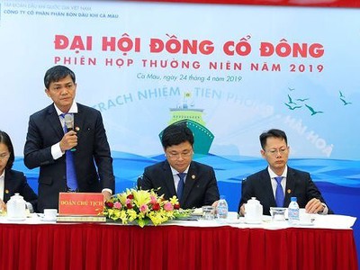 ĐHCĐ Đạm Cà Mau (DCM): Bàn chuyện tiết giảm chi phí, hợp lý hóa sản xuất