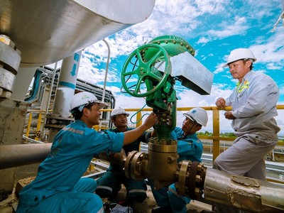 NPK Cà Mau gia nhập thị trường phân bón chất lượng cao