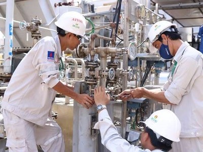 Đạm Cà Mau hoàn thành bảo dưỡng, chi trả cổ tức bằng tiền mặt