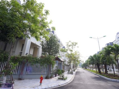 Lideco (NTL) đặt kế hoạch lợi nhuận trước thuế tăng tới 52,5% năm 2020