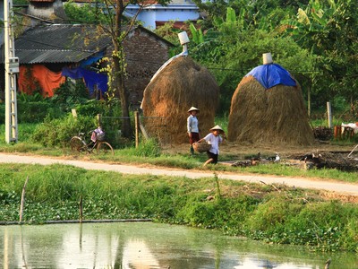 Một góc quê. Ảnh: Thành Nguyễn.