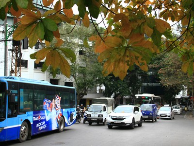Hà Nội như Thu. Ảnh: Thành Nguyễn.
