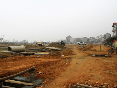 Ảnh: Thành Nguyễn.