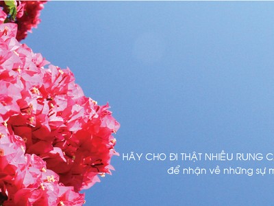 Ảnh, đồ họa: Thành Nguyễn.