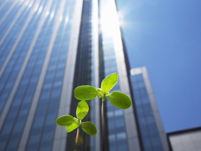 Ảnh: Shutterstock.