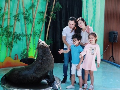Khách tham quan thích thú check in cùng hải cẩu ở sân khấu xiếc Thiên Đường Bảo Sơn.