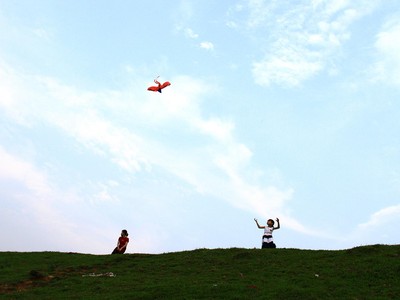 Chiều quê. Ảnh: Thành Nguyễn.