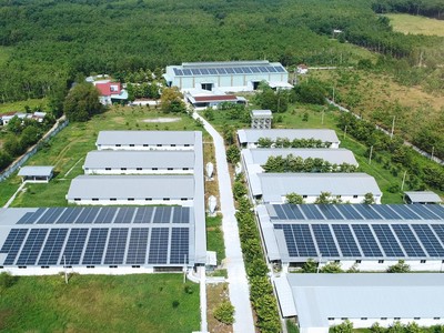 Năng lượng mặt trời đang được đầu tư ngày càng nhiều. Ảnh: Internet.