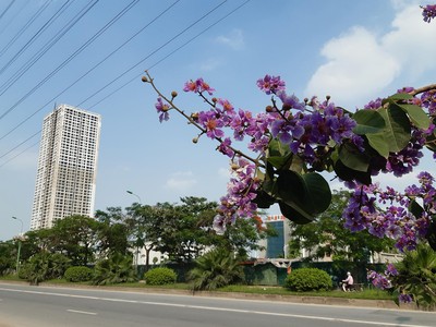 Giãn cách xã hội đã khiến thị trường cả quý trầm lắng hơn hẳn quý 2. Ảnh: Thành Nguyễn.