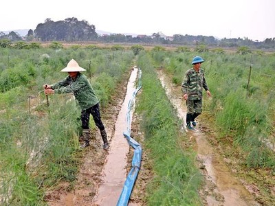 Mô hình hợp tác xã đang chứng minh hiệu quả ở Vĩnh Phúc. Ảnh: Internet.