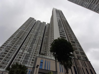 Ảnh: Thành Nguyễn.