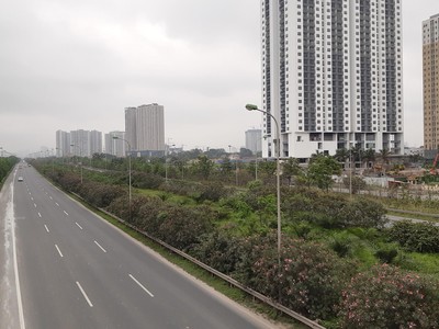 Ảnh: Thành Nguyễn