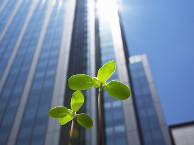 ESG là một bộ tiêu chuẩn để đo lường các yếu tố liên quan đến phát triển bền vững và ảnh hưởng của doanh nghiệp đến cộng đồng. Ảnh: Shutterstock.