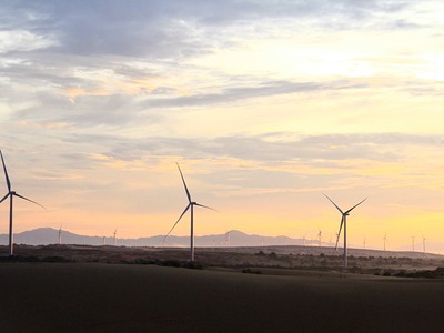 Việt Nam đang có ngày càng nhiều các dự án điện gió. Ảnh: Thành Nguyễn.