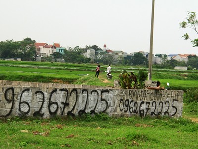 Phân khúc đất nền Hà Nội vẫn là kênh đầu tư yêu thích của nhiều người. Ảnh: Thành Nguyễn.